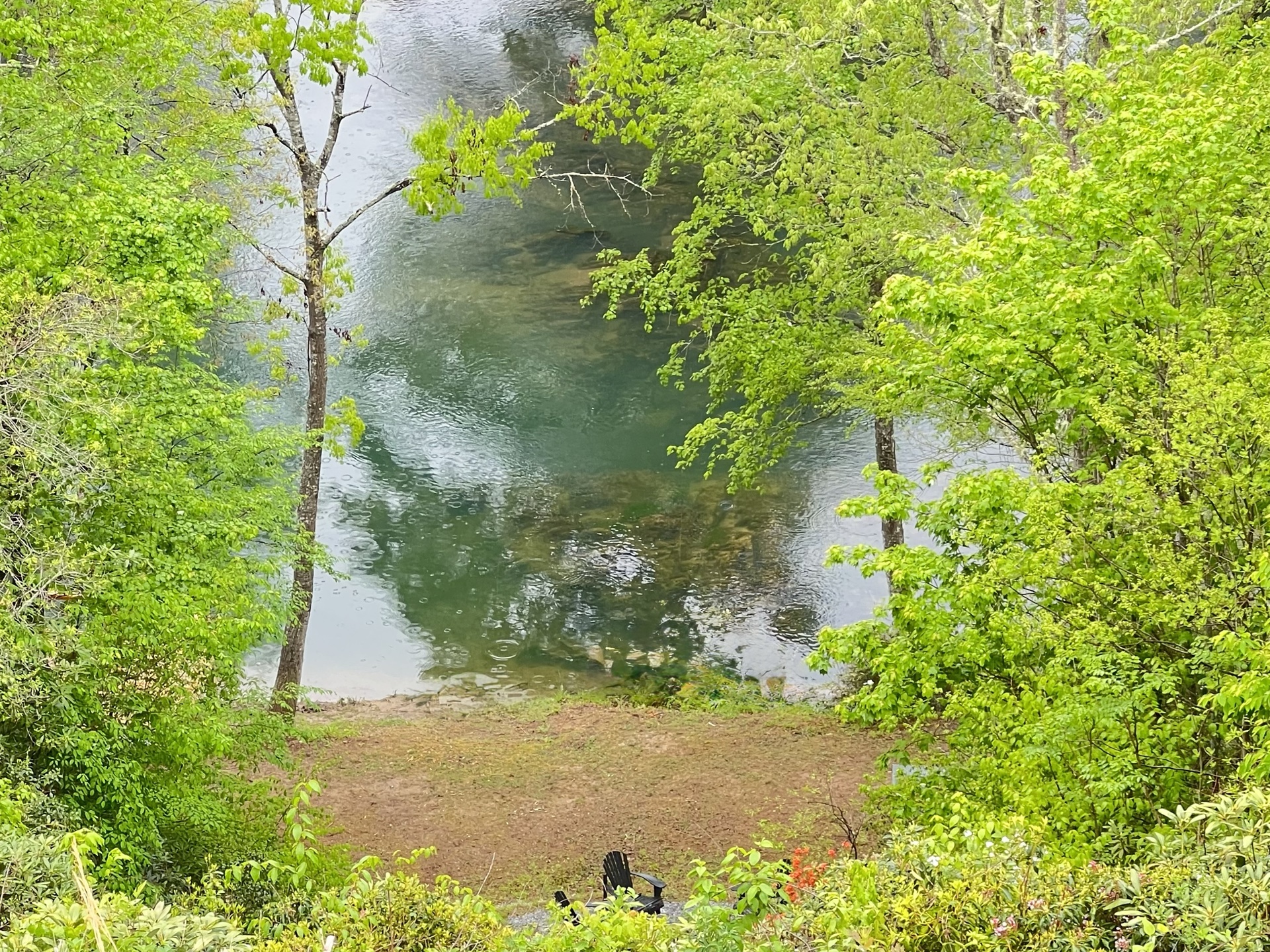 Spring Time View
